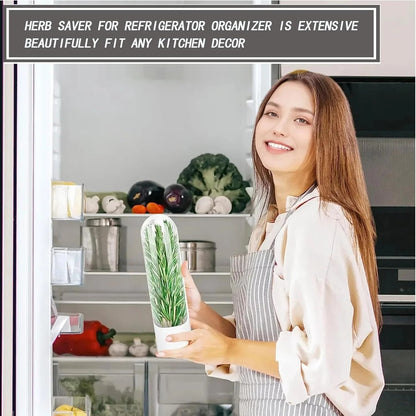 Fresh Herb Saver Container for Refrigerator - Long Lasting Vegetable Storage